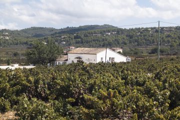 De vinos por Alicante