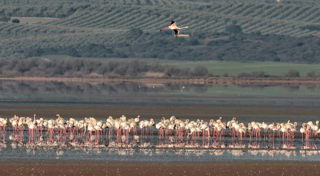 Lagos de postal para disfrutar todo el año 4