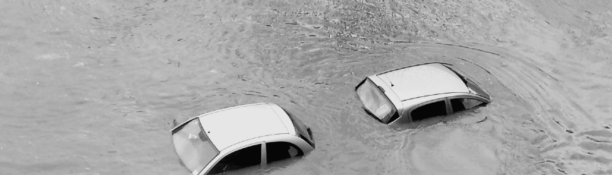 Baja temporal coches DANA